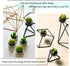 Swpeet 12Pcs Decorative Succulent Cactus Tealight Candles Kit, Cute Smokeless Plants for Festival Wedding Props