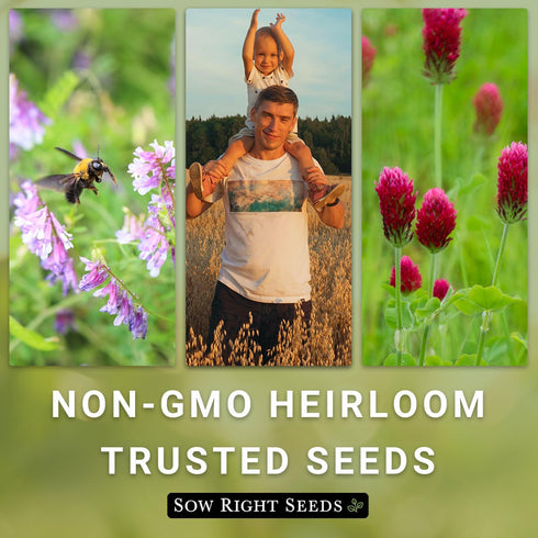 Sow Right Seeds - Winter Oats Seed for Planting - Cover Crops to Plant in Your Home Vegetable Garden - Enriches Soil