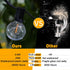ShineU 60FT G40 Dimmable 27 Bulbs, LED String Lights with Remote, Globe for Patio, Edison Shatterproof Waterproof