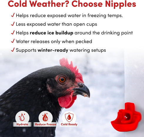 64oz (2 2 RentACoop Liter) Chicken Drinker with Versatile Nipples - Ideal for Baby Chicks, Quail, Small Birds