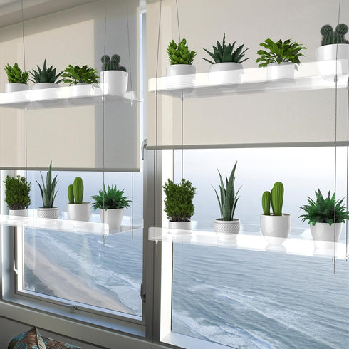 ZerzSemp 2-Tier 16 Inch Hanging Clear Plant Shelves for Windows, Acrylic Window Wall Plant Stand Shelf for Kitchen