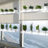 ZerzSemp 2-Tier 16 Inch Hanging Clear Plant Shelves for Windows, Acrylic Window Wall Plant Stand Shelf for Kitchen