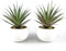 TUOKORGREEN Small Artificial Plants in Ceramic Pots, Faux Greenery Set of 2, 3.5" x 6.7"