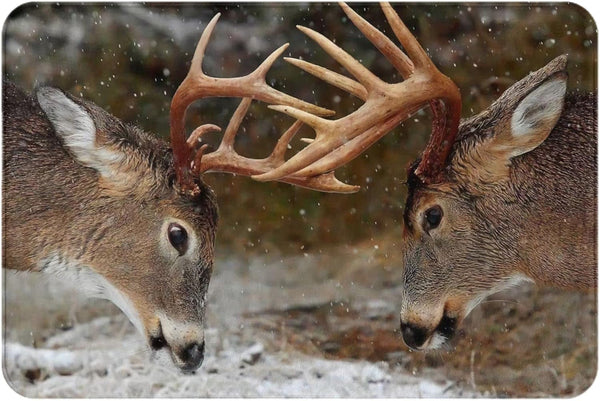 Deer Moose Bath Rugs - Machine Washable Non-Slip Bathroom Decor, Water Absorbent Welcome Mat for Kitchen & Bedroom, 16"