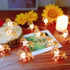 20 7FT 3D Pony String Lights LED Horse Fairy Lights Battery Operated with Remote, Cute Pony Decor for Girls Bedroom