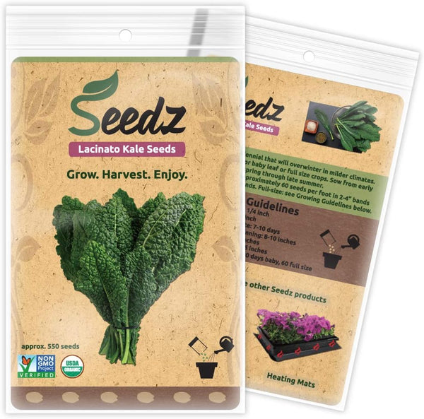 Organic Kale Seeds, APPR. 550, Lacinato Kale, Heirloom Vegetable Seeds, Certified Organic,