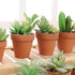 Yishang 2.5 Inch Terracotta Pots, Small Mini Clay Planter with Drainage Holes, 12 Pack for Indoor/Outdoor Plants