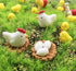 DoTebpa 44 Pcs Miniature Family Chicken, Cock, Hen, Egg, Chicken Nest Ornament Micro Landscape Fairy Garden Dcor