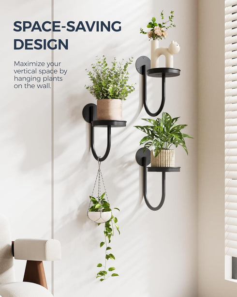 3pcs Bamworld Hanging Planters for Indoor Plants Wall Plant Holder Plant Hanger Indoor Wall Planters Window Plant
