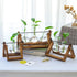 (2 Bulbs) Kingbuy Glass Desktop Planter with Retro Wooden Stand and Plant Terrarium vase for Indoor Office Desk Decor