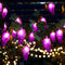 Baquler 1 Pcs 3D LED Grape String Lights Battery Operated Summer Fruit
