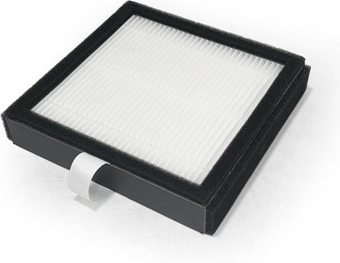 Nispira DH02 True HEPA Filter Replacement for Tenergy Sorbi Air Purifier Dehumidifier/Afloia AQ8 Q8 / Honati/Hysure Q7 2 Pack