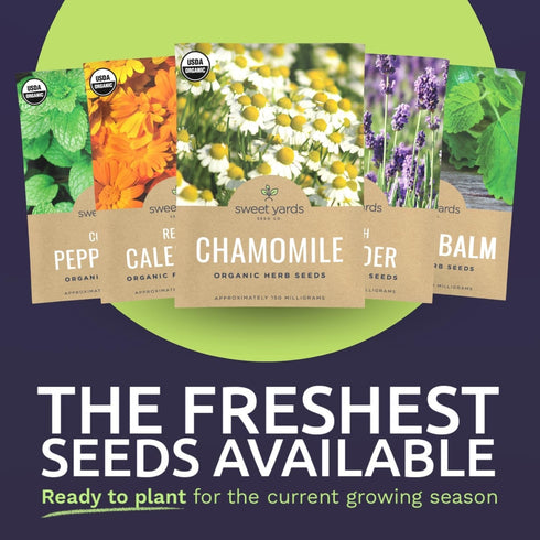 Pack 16 Packs 2026 Organic Herbal Tea Seeds Variety - Individual - Season - Mint, Lavender, Chamomile and More!