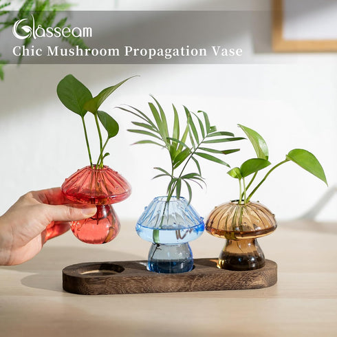 3Pcs Glasseam Mushroom Plant Propagation Station: Glass Plant Terrarium Jar with Wood Stand Unique Hydroponic Planters