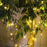 150 50 LED Warm White Christmas String Lights, FT Green Wire, UL Certified Connectable, Xmas Lights Outdoor or Indoor