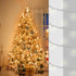 Heyworld 50 14.58 50 Sets, Slow Twinkle Lights, Led Soft Twinkling Mini Christmas String Lights on White Wire Cord, UL