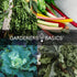 Packets Pack 5 Gardeners Basics Power Greens Seeds for Planting Individual - Arugula, Spinach, Swiss Chard, Kale