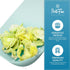 PortoFino Small Non-Slip Plastic Cutting Board, Smart Draining Design, Mini Kitchen Cutting Board for RV Accessories