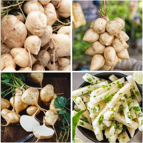 200+ Organic Sweet Jicama Seeds - Heirloom Variety for Home Gardens