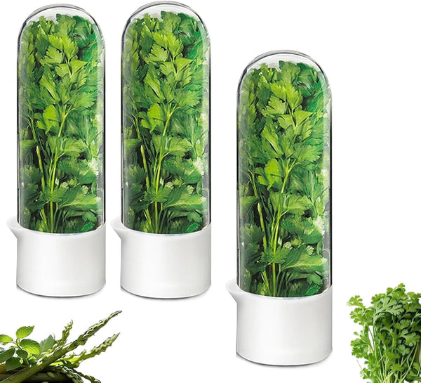 Minkeytal Herb Saver for Refrigerator - Herb Keeper & Cilantro Container for Fridge