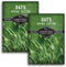 Oat Seeds for Planting Heirloom Avena Sativa Milky Oats Medicinal Herb &