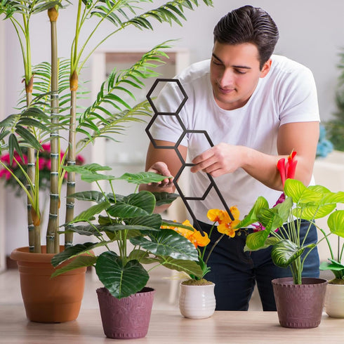 KOYILTD 4 1) Pcs Trellises for Climbing Plants Indoor Metal Climbing Plant Support Metal Plant Trellis for Pots Garden