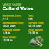 600+ HOME GROWN Vates Collard Green Seeds Heirloom Non-GMO Seeds for Planting, High Germination, Bolt Resistant Dark