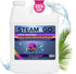 Steam and Go Demineralized Water: Multi-Surface Cleaning Solution for Steam Cleaners, Ideal for Home and Office