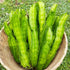 100+ Winged Bean Seeds Four Angled Bean Manila Bean King Shire Winged