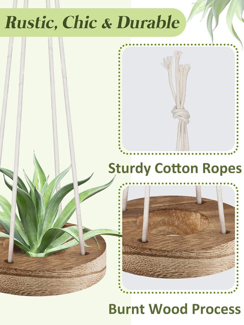 6 3" Pcs Hanging Wooden Air Plant Holder - Round Airplants Live Hanger with Ropes, Rustic Tillandsia Succulent Display