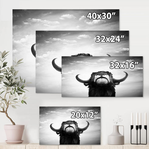 Monochrome Portrait of a Spanish Bull Farmhouse Canvas Wall Art, 12x8, Black