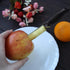 Better Houseware Stainless Steel Apple Corer, Jalapeno Zucchini Cucumber, Kitchen Essential