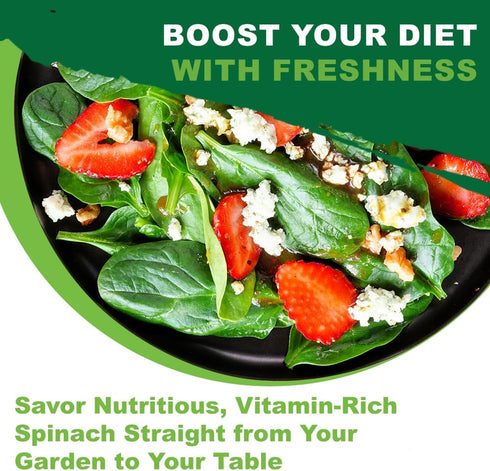 320+ TKE Farms & Gardens - Bloomsdale Spinach Seeds for Planting, Heirloom Non-GMO Seeds, Cold-Hardy & Long Standing