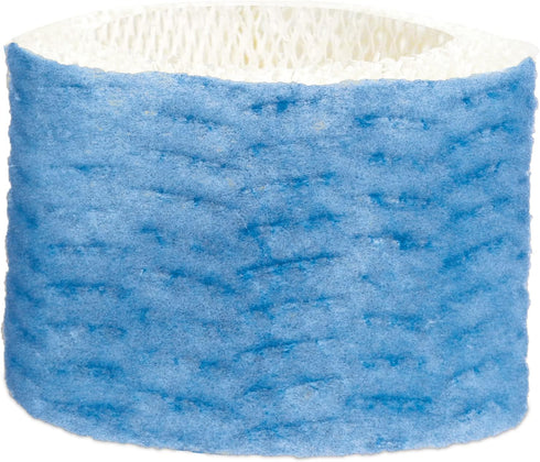 Honeywell C Replacement Filter in White