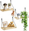 QsQueen Elevate Your Space with Rustic Wood Floating Shelves Set of 3-
