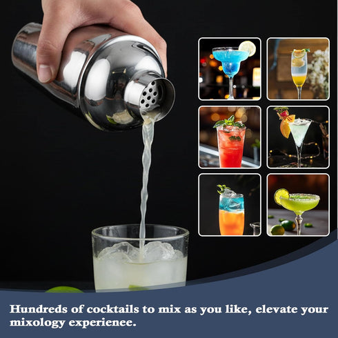 13-Piece Set Set Bartender Kit Bar Tool Boston Cocktail Shaker with Muddler,Strainer,Jigger,SpoonHome Bar Accessories