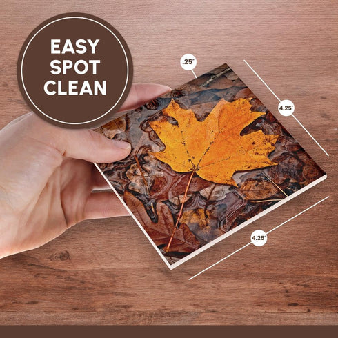 3dRose Autumn Leaf Ceramic Tile Coasters, Set of 4