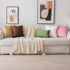 Pack 2 20x20 Inch EMEMA of Velvet Throw Pillow Covers Decorative Square Pillowcase Soft Solid Cushion Case for Sofa