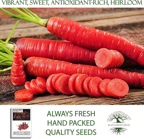 250+ Atomic Red Carrot Seeds (Daucus carota) Non-GMO Heirloom Seeds, Vibrant Red Roots Rich in Lycopene, by Islas