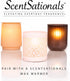 Scentsationals Wax Melts, Cotton Candy Cloud, Long Lasting Scented Melts for Warmer, 10oz (24-Cubes)