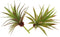 LJY 2 Pieces Realistic Artificial Faux Succulent Yucca Vera Plants for Home Garden Decoration