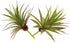 LJY 2 Pieces Realistic Artificial Faux Succulent Yucca Vera Plants for Home Garden Decoration