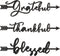 Yookeer 3 Pcs Thankful Grateful Blessed Letter Sign Wood Cutout Sculptures, Rustic Wall Decor for Home Kitchen