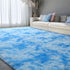5x8 EVOIONOS Area Rug for Living Room Bedroom, Washable Fluffy Shag Large Rug, Soft Plush Non Slip Carpet for Indoor
