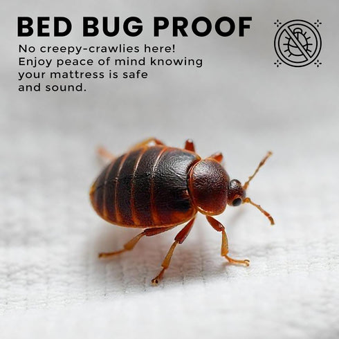 Utopia Bedding Premium Waterproof Bed Bug Mattress Cover, Twin XL Zippered Protector, 12 Inches Deep