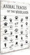 Woodland Nursery Decor Animal Track Field Guide Sign Nature Forest Log Cabin