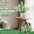 Indoor3-Pack Plant Stand Lifelike Artificial Lavender Artificial Plants Indoor, Nordic Lavender Table
