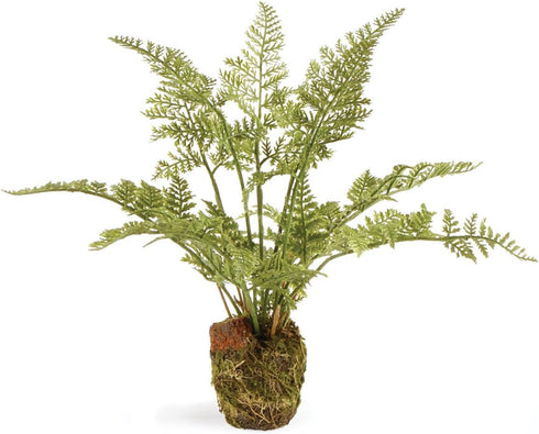 Napa Home & Garden Soft Fern Drop-in, 8.5"