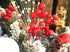 24 pcs Christmas Berries Stems Artificial Red Berry Stems for Christmas Tree Ornaments Crafts Holiday and Home Decor