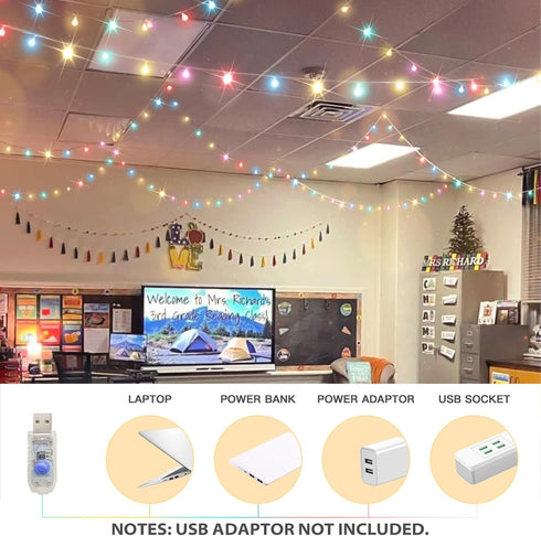33ft 100 suddus Easter Lights Plug in, Led USB Pastel String Lights with Timer, Globe String Lights Indoor